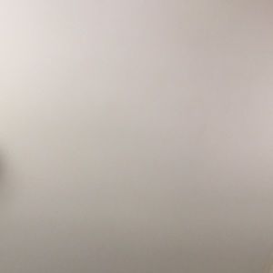 Meet your Posher, Dalton